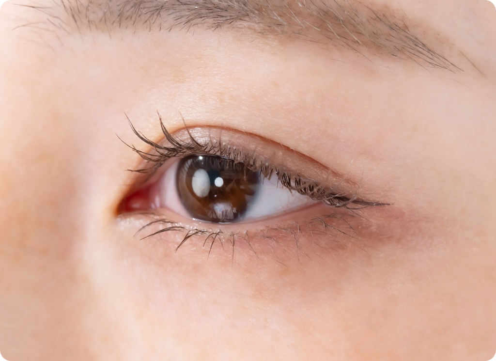 理想を叶えるオーダーメイドの技術