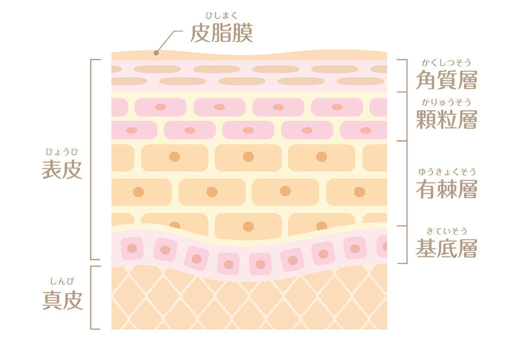 3-2. 具体的な失敗例と後悔の声